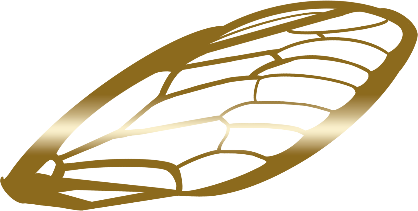 Gold Cicada Wing Logo